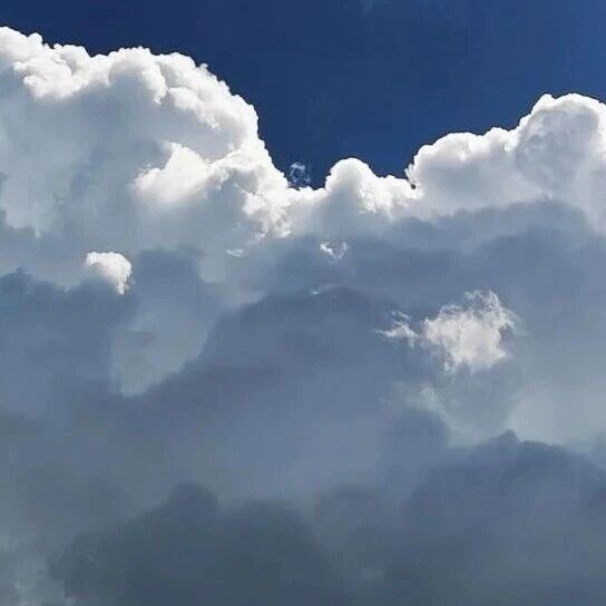 可可托海|把蓝天、白云、雪山,都藏进你的滑雪日常里