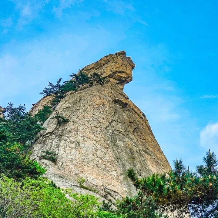 关于临时关闭龟首景点的公告
