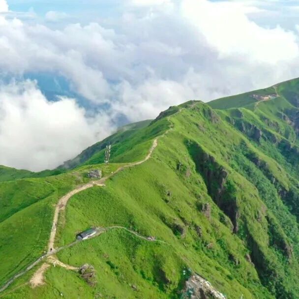 震惊‼️武功山这枚奖牌只要9.9?