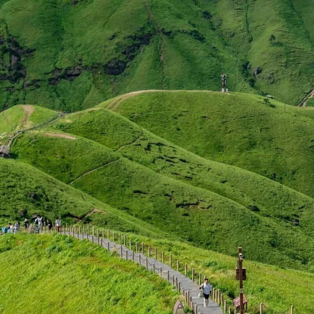 绿了!绿了!武功山!真的绿了!