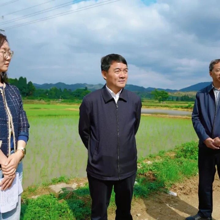 廖东生深入碧溪镇调研督导春耕生产和防汛备汛工作