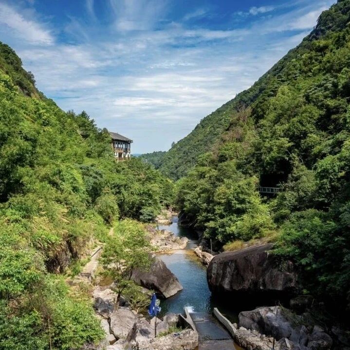 听说,这是春天最治愈的模样