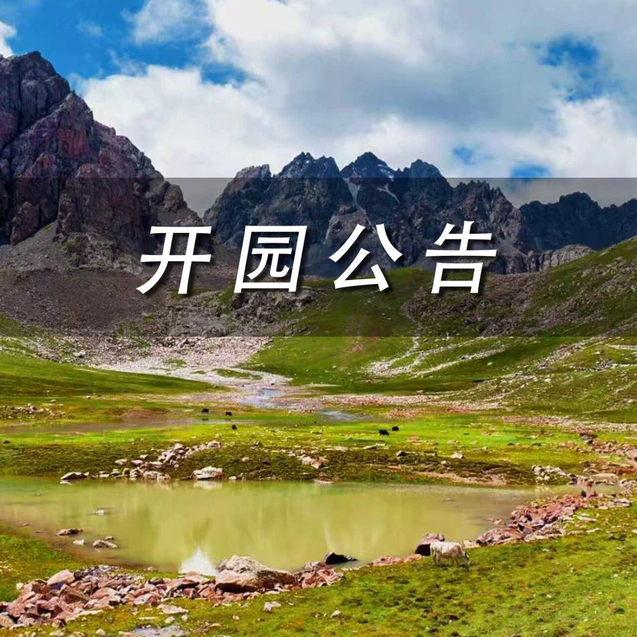 祁连山冰沟河景区2026年开园公告