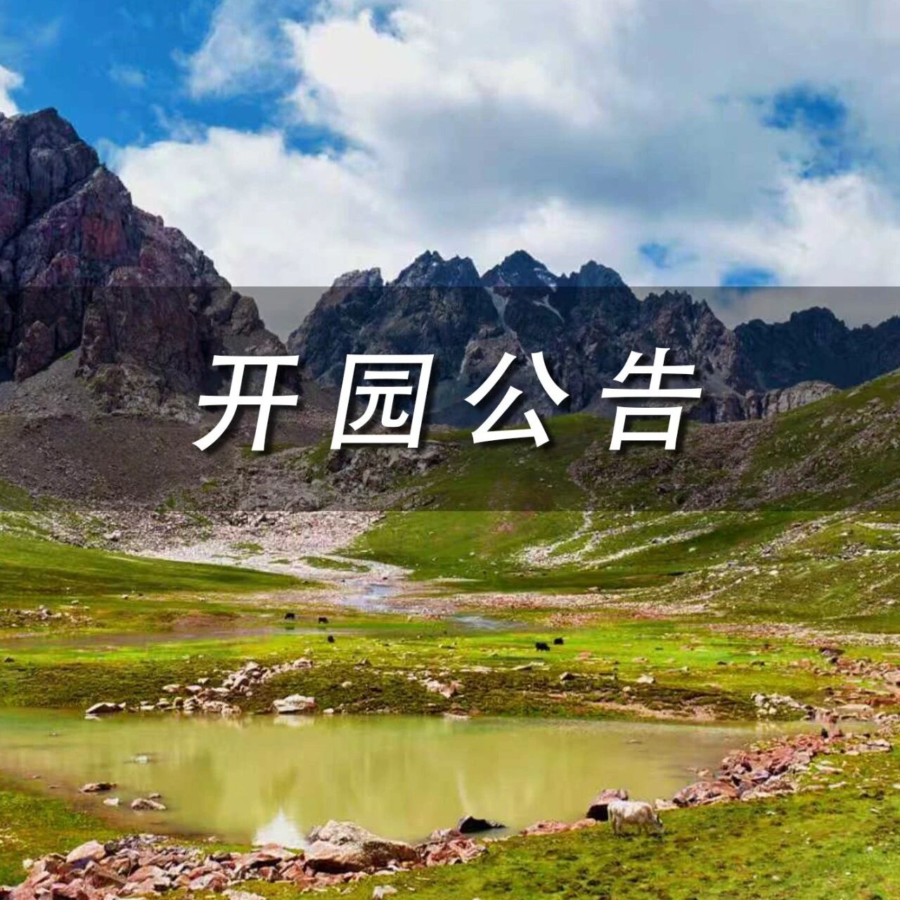 祁连山冰沟河景区2026年开园公告