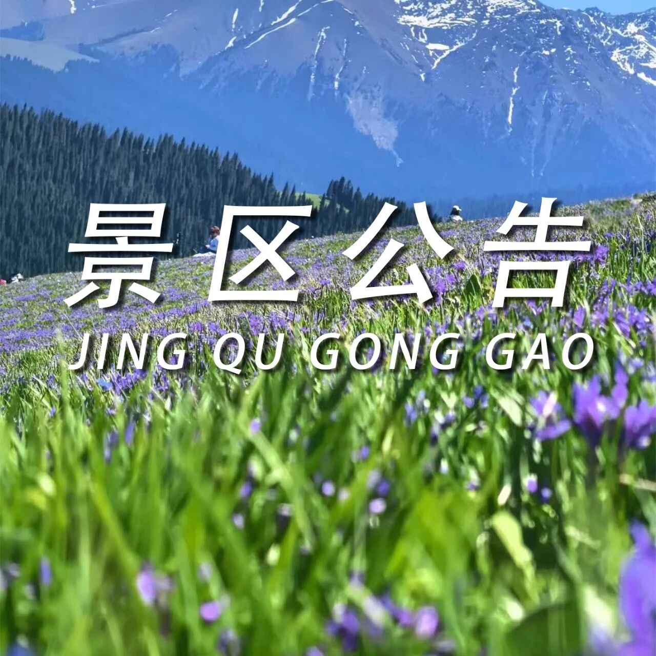 祁连山冰沟河景区2026年开园公告