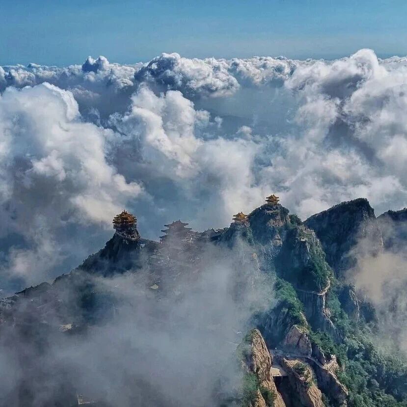 谁懂啊!老君山4-5月神仙观景时段!错过再等一年
