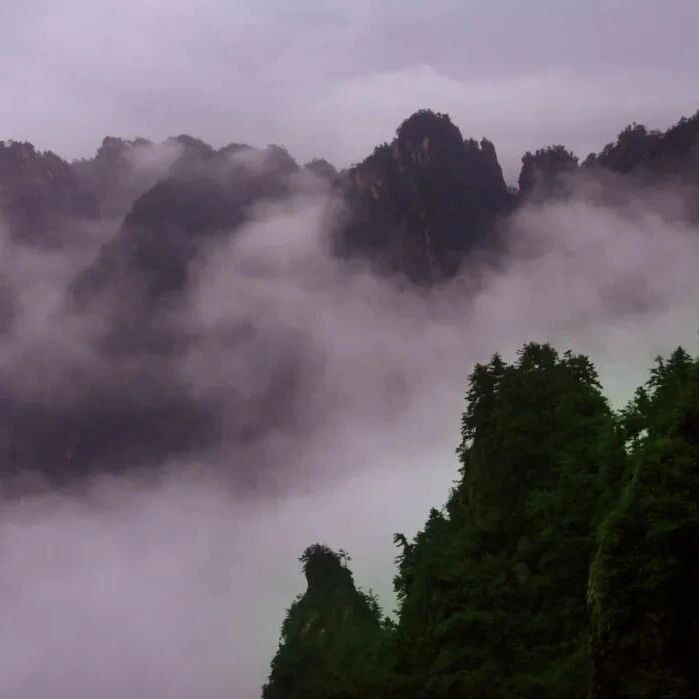 老君山为什么叫"老君山"?90%的游客都不知道的历史典故