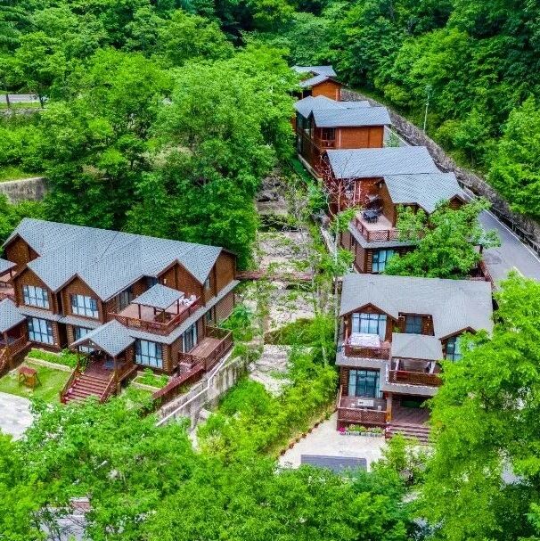 免门票至4月底!老界岭邀你看漫山繁花、住森林木屋!