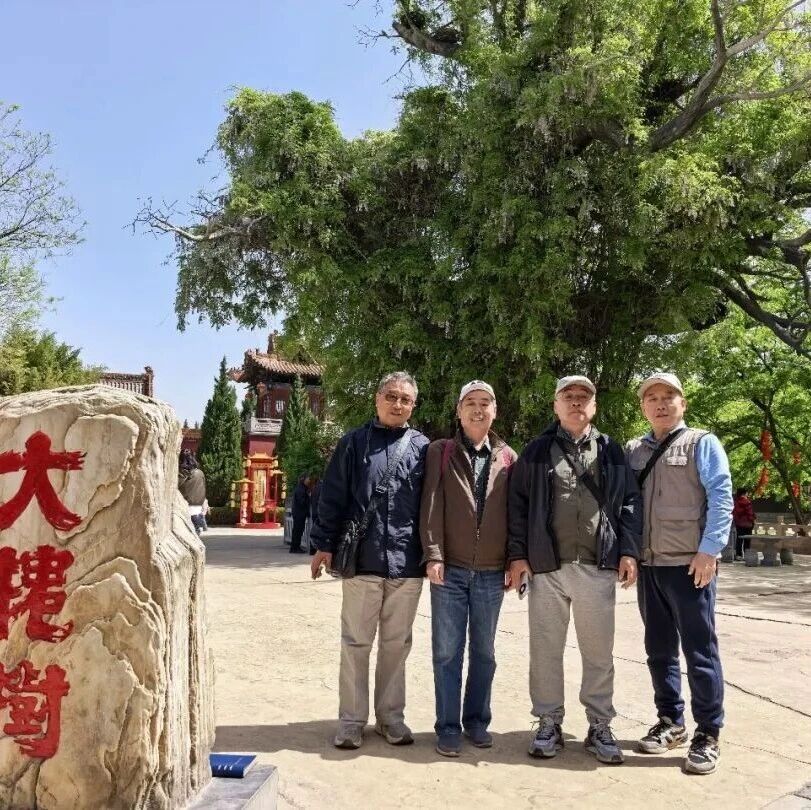 跨越山海赴“老家”之约 洪洞大槐树景区二次寻根 情更深