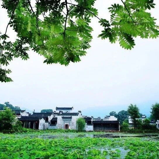 呈坎景区温馨提示