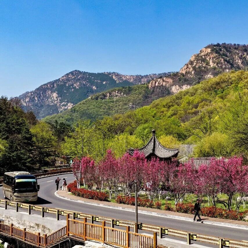 关于泰山桃花源半山游的温馨提示