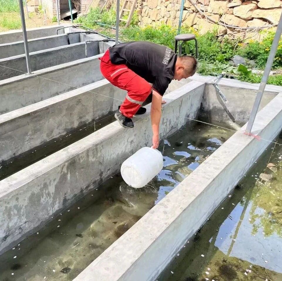 桃花源管理区:春日引蛙添生机 林下经济启新航