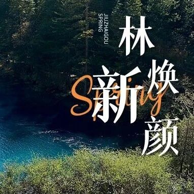 九寨沟晨雾散尽山光暖,林海焕新颜