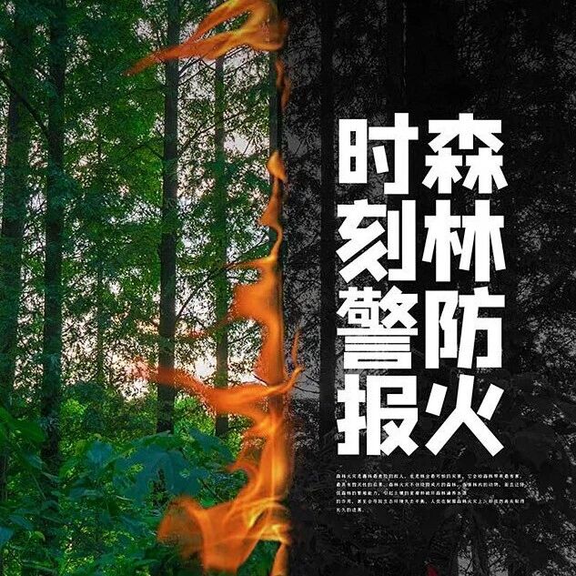 请注意!进山莫带火种,护林常存警惕