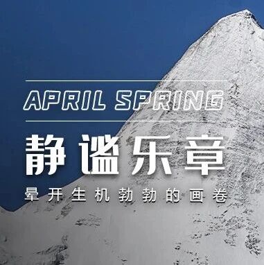 烟雨为纱山为骨,溪流拨弦奏响亚丁静谧乐章