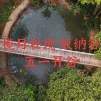 五一新打卡地 | 版纳谷5.1开谷!雨林秘境一键解锁