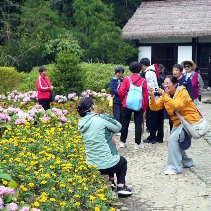 庐山:四月芳菲次第开 游客踏春赏景来