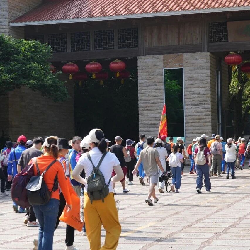 用脚步丈量春天,一起解锁“茶香”雁南飞!「循着茶香去旅行」2026年雁南飞茶田徒步活动正式启动