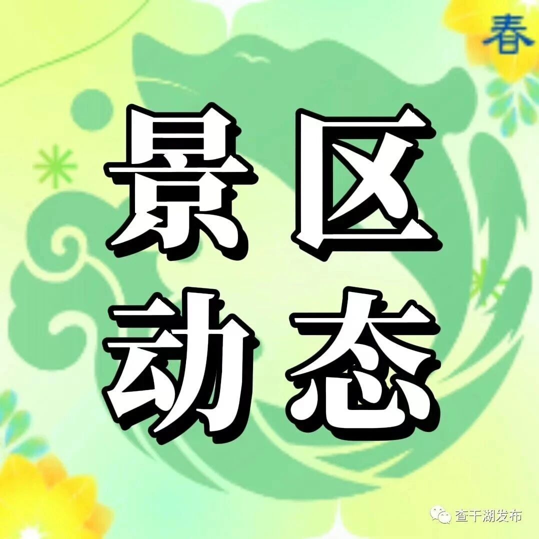 查干湖来“新客”