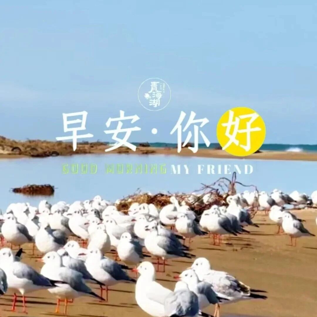 你好·青海湖 每日湖小札