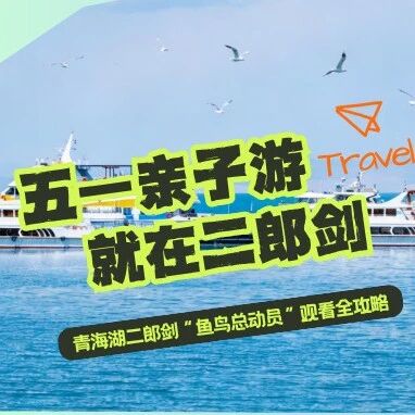 五一带娃去哪玩儿?青海湖二郎剑上演“鱼鸟总动员”!附保姆级攻略,让你带娃不累、出片不愁!