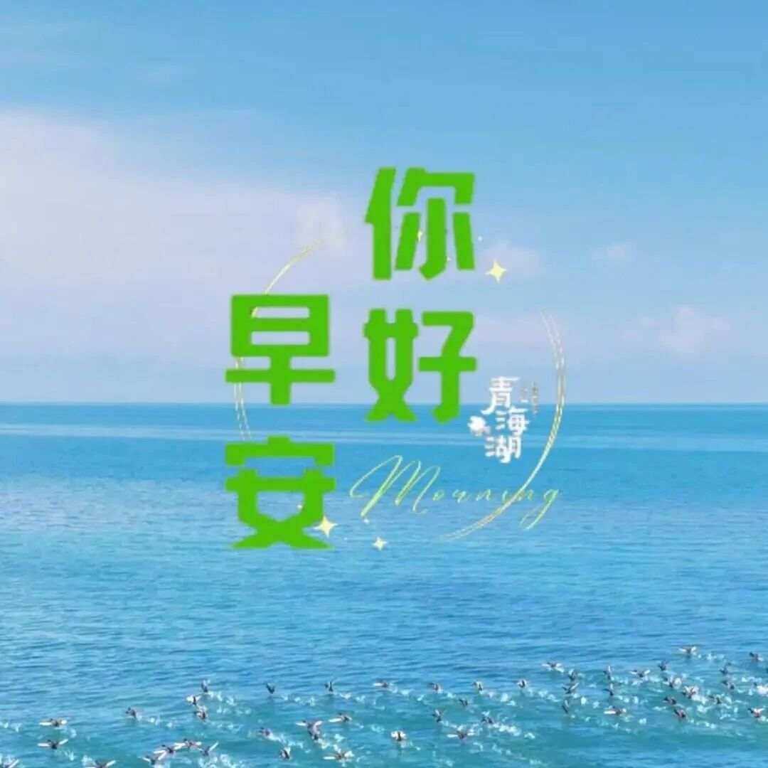 你好·青海湖 每日湖小札