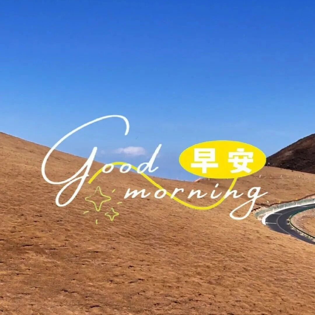 你好·青海湖 每日湖小札