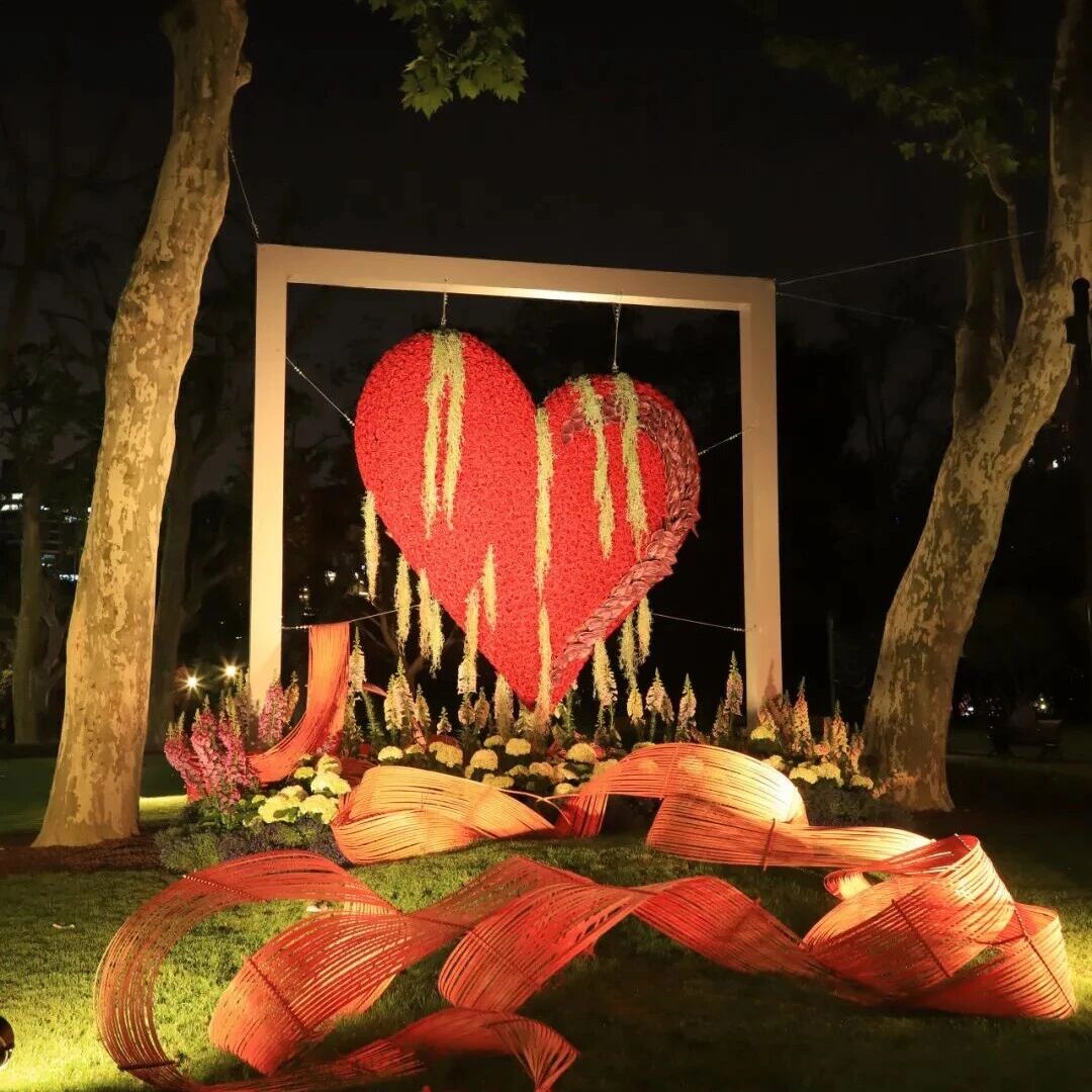 夜幕降临,中山公园变身“花夜奇境”!