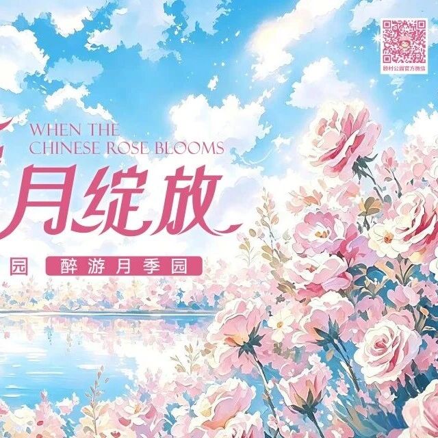 活动 | 遇见爱,“月”绽放。满园月季绽放,藏着春夏最温柔的告白