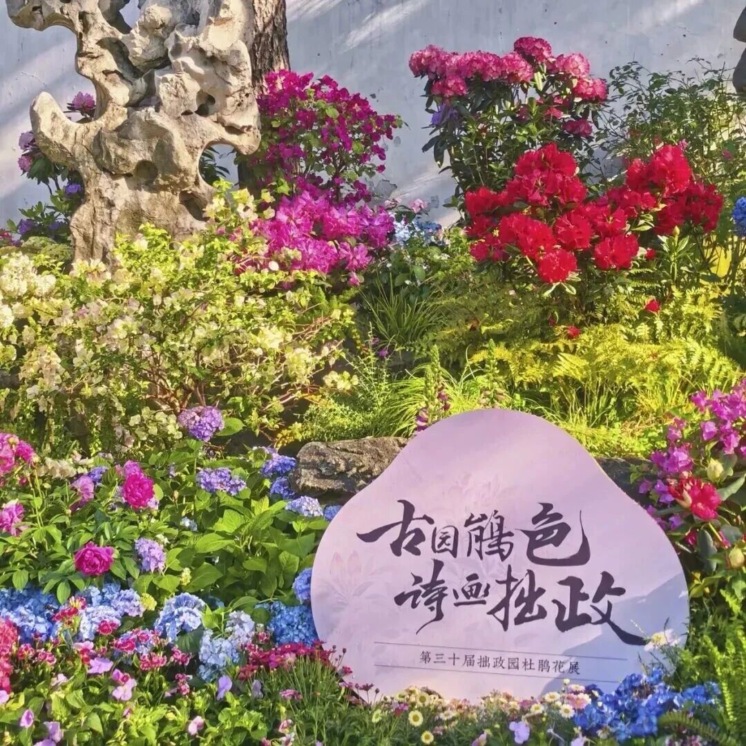 五一来这里碰个面