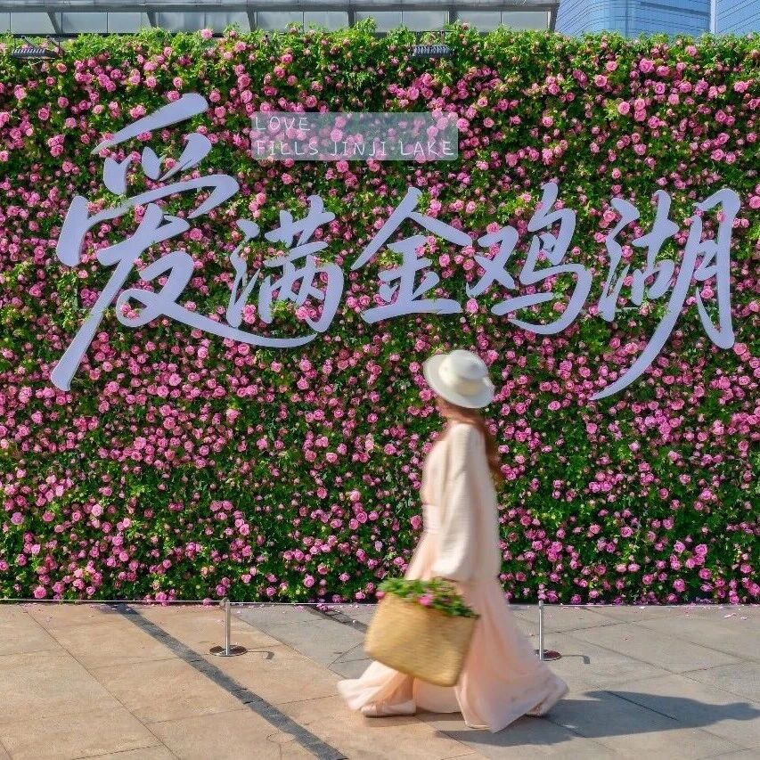 五一假期,金鸡湖畔巨型玫瑰花墙浪漫来袭!