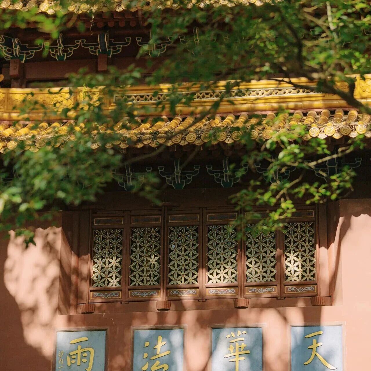 天气有变,出行请注意!普陀山&朱家尖必游清单,建议转发收藏