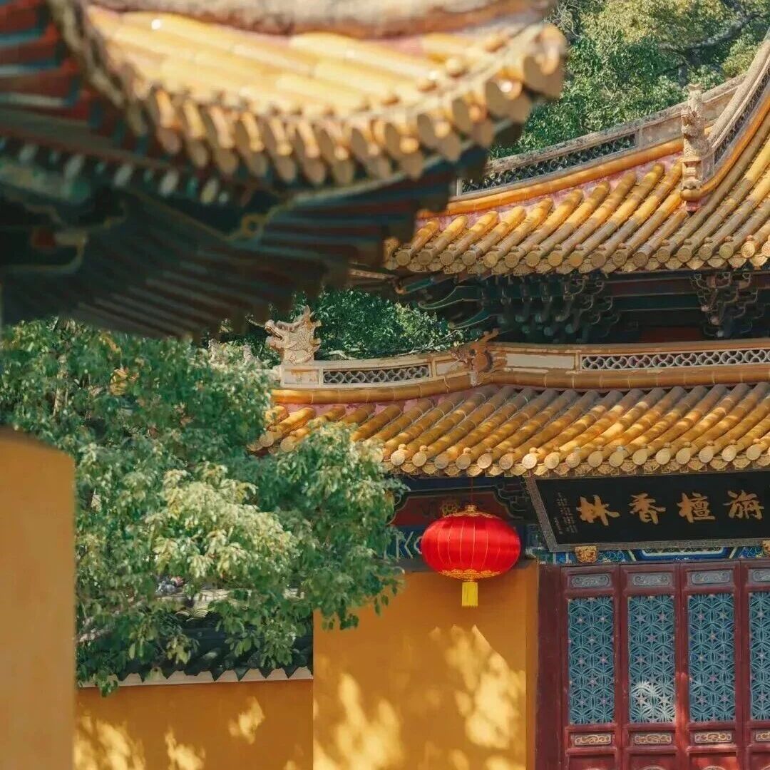 五一小长假玩转普陀山朱家尖!交通、景点、活动全攻略一篇GET!
