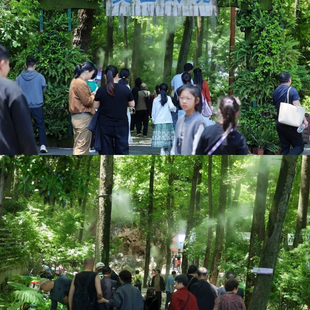 五一假期来灵山铜鉴湖的人,先享受花花世界