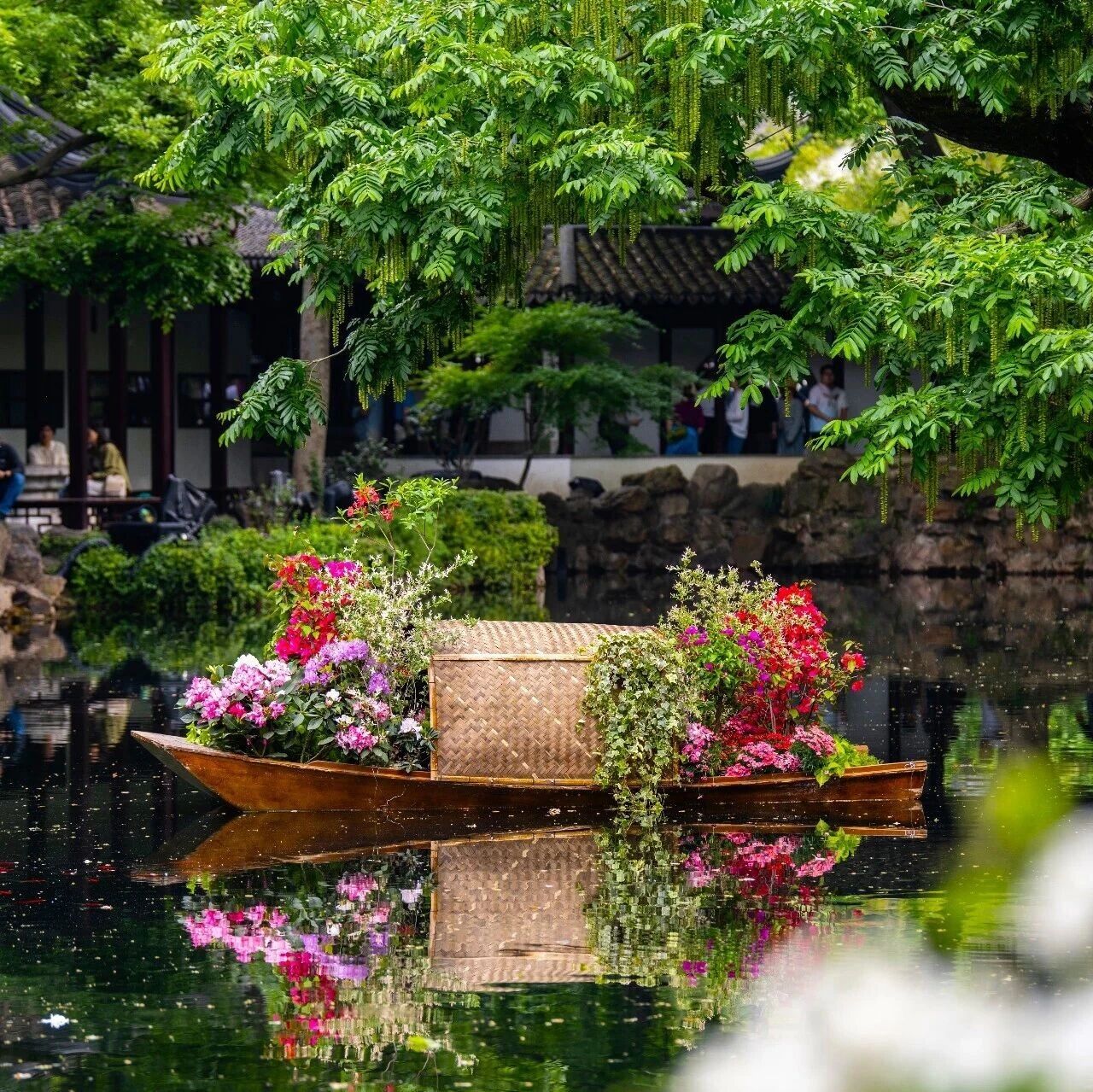 杜鹃花境上新啦!正是做回“花痴”的好时候