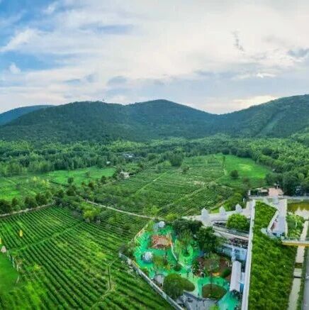 乐动吴中 即刻出发丨音乐巴士&徒步登山,假期这样玩~