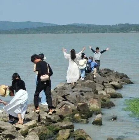 三山岛 | 不想五一挤人?太湖三山岛懒人攻略请收好→