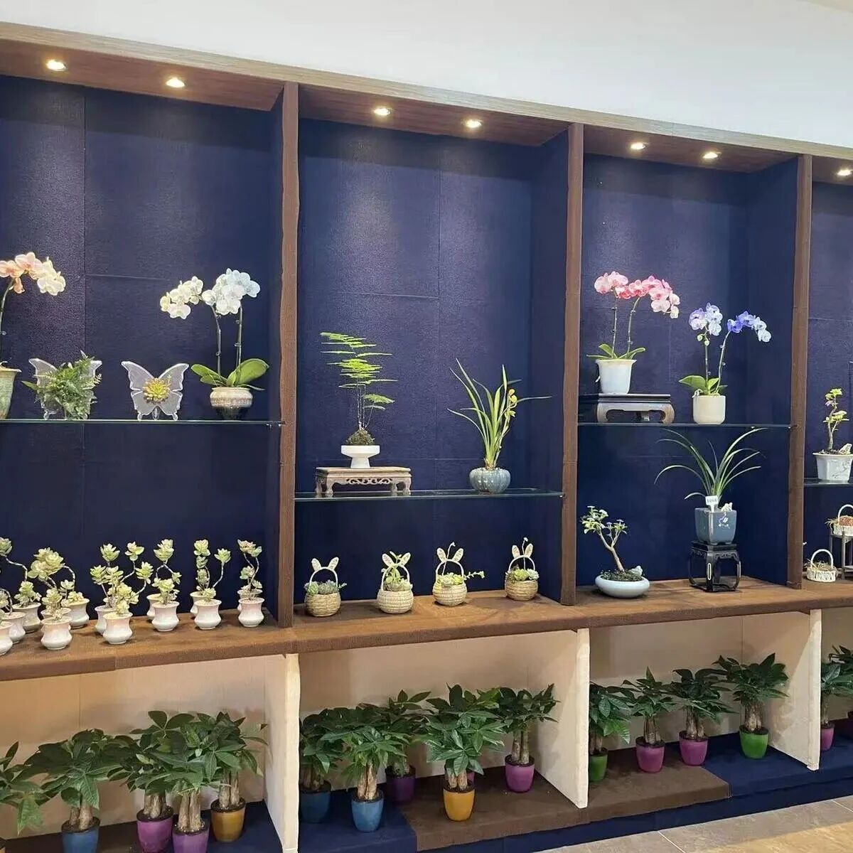 濠西书苑非遗兰花馆正式开放 | 濠河景区以非遗为媒,加速系统活化