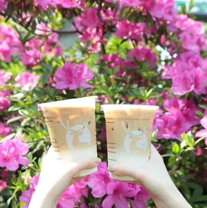 公园咖啡季 | 白云山城市绿肺 啡享森活力