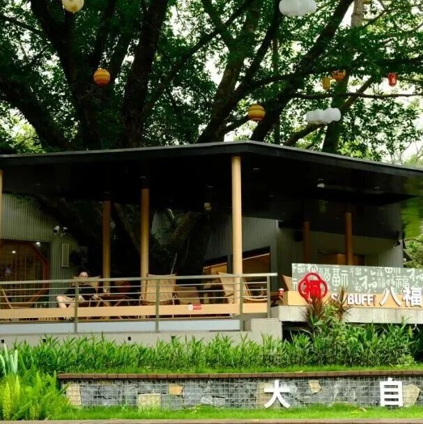 公园咖啡季|明珠楼山野咖啡季,此刻正香