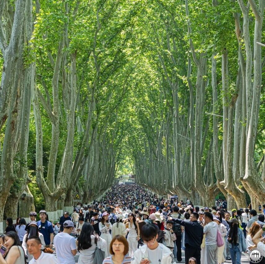 @所有玩家,地球online提醒您 钟山假日副本已开启
