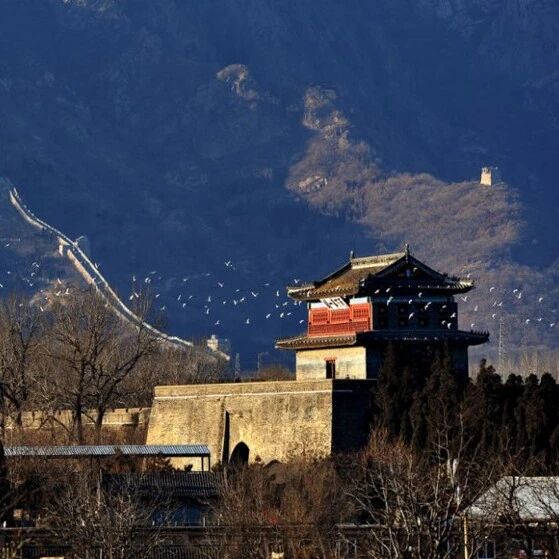 秦皇岛6条最美阅读路线推荐,在字里行间里遇见一路好风景!