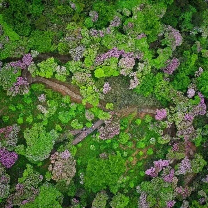 五一去哪玩?来到天台山,一切皆圆满!