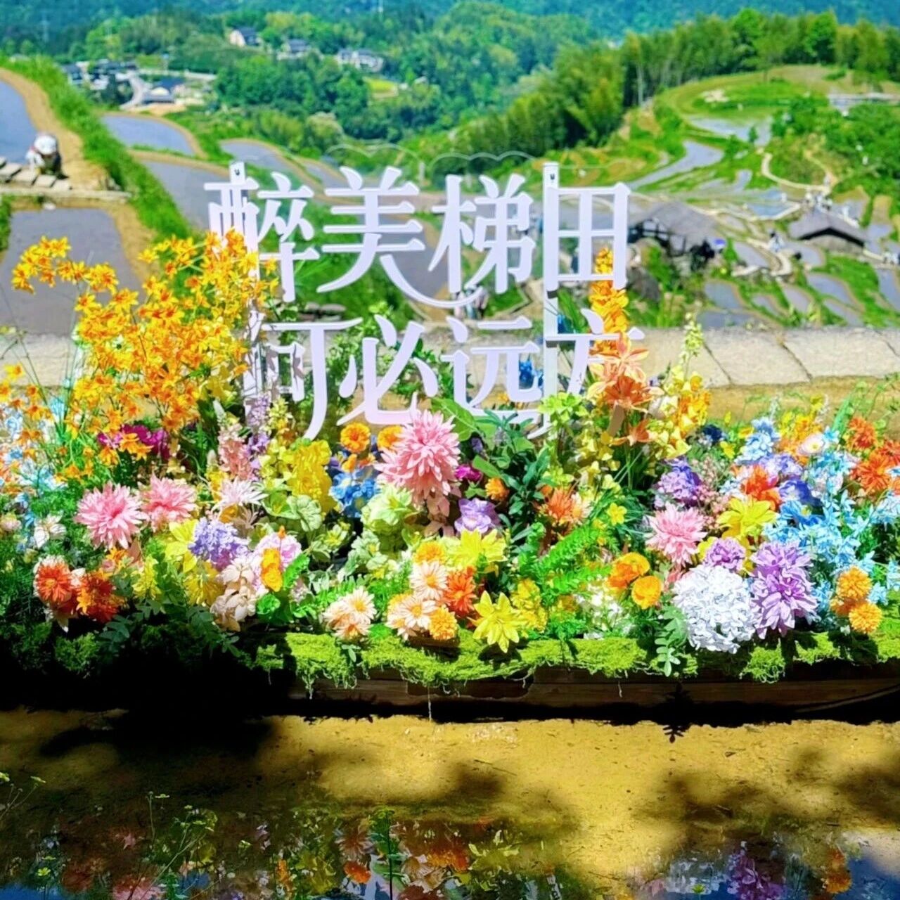 五一首日速递|云和梯田花样全开!明日更多高能玩法等你来~