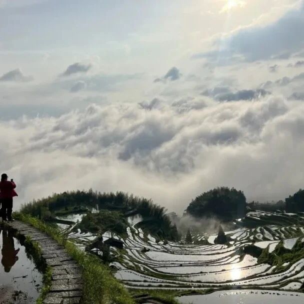 五一天气不稳定?别慌!云和梯田暗藏惊喜~