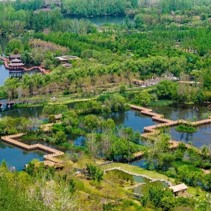 五一玩转溱湖湾!超值福利等你来薅,全家出游嗨翻天!