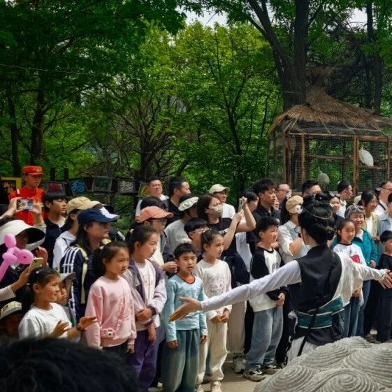 雨润蒙山游客旺!景区“晴天险”暖心护航:今日雨中畅游,明日免费再来!