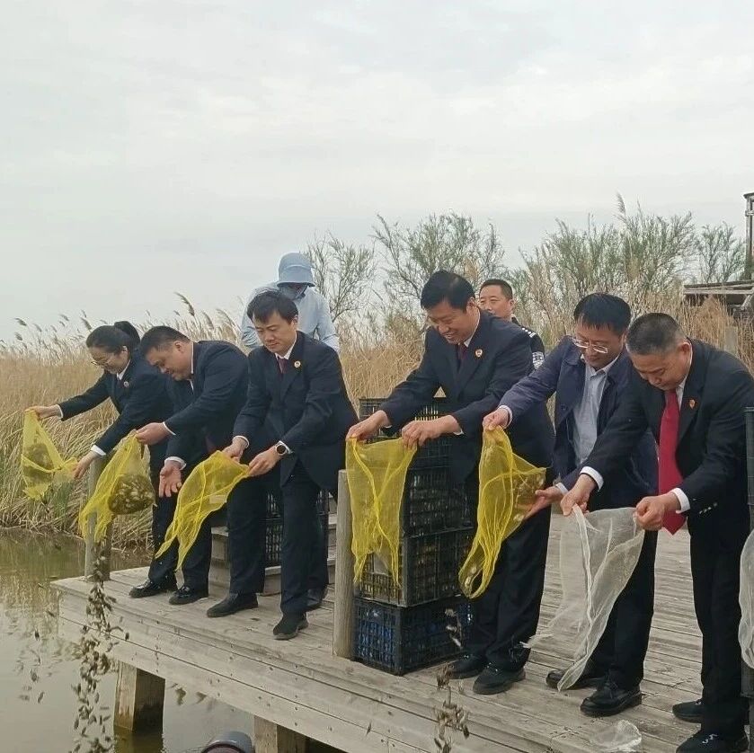 多部门联合开展增殖放流 协同守护黄河口生态平衡