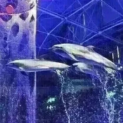 票价信息及交通信息