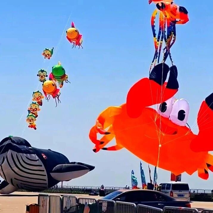 免门票!五一假期余额充足,来红海滩“充满电”